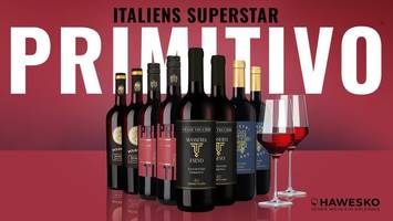 Primitivo im Winter: Warum dieser Rotwein für Genießer unverzichtbar ist