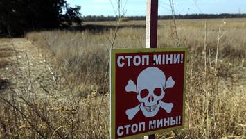 Sicherung der Ostflanke: Polen setzt demnächst wieder Landminen ein