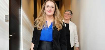 grüne bieten friedrich merz zusammenarbeit bei sozialreformen an