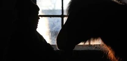 reitsport: mutmaßliche tierquälerei bei nachwuchsturnier in münchen - »so einen fall hatte ich noch nie«