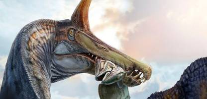 Paläontologen finden Knochen eines riesigen Fischjägers: Liegt ein Dinosaurier in der Sahara