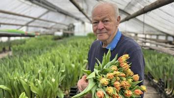 Beheizte Gewächshäuser: Winter beschert Gärtnern hohe Kosten