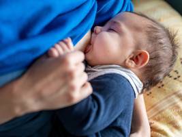 Ernährung von Babys: Neue Empfehlung: Sechs Monate nur Muttermilch