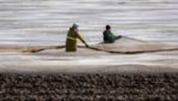 Bundesparteitag: CDU fordert Mindestlohn-Ausnahmen für Saisonkräfte