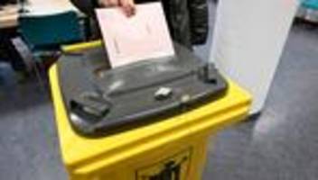 kommunalwahl: politik-expertin gibt prognose zum afd-ergebnis ab