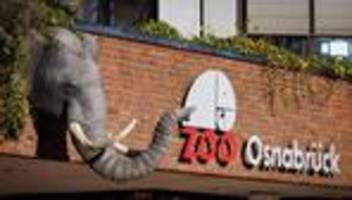 Tierseuche: Verdacht auf Vogelgrippe im Zoo Osnabrück