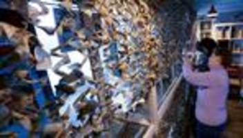 Ukraine-Krieg: Vier Jahre nach Kriegsbeginn: Wie MV der Ukraine hilft