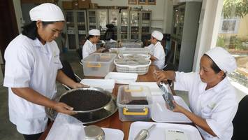 Hype um Gewürz: Warum ein Kilo Pfeffer aus Kambodscha 177 Euro kostet