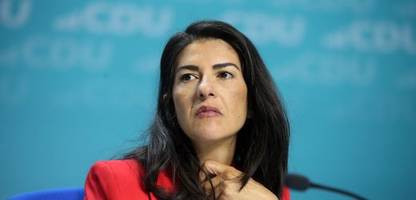 afd: wer die brandmauer erfand und was sie bedeutet - meinung