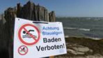 Gesundheitszustand der Ostsee: Die Ostsee schleppt eine schwere Nährstoffhypothek mit