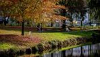 Quorum verfehlt: Bürgerentscheid gescheitert - Baumschutzsatzung bleibt