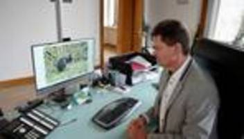 Tiere: Entflohenes Känguru ist wieder da