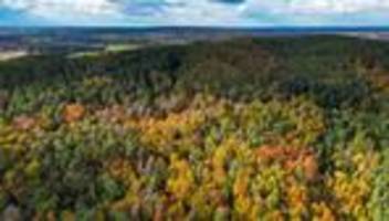 Umstrittenes Industriegebiet: Neuer Industriestandort nahe Tesla geplant - Streit um Wald