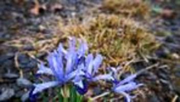 Wetter: Ab Mittwoch sonniger Frühling – bis zu 20 Grad möglich