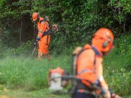 keine pflicht: dobrindt hat einen sofort-in-arbeit-plan für asylbewerber