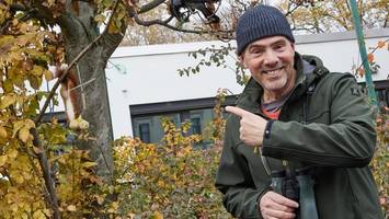 derk ehlert ist dolmetscher zwischen den menschen und den wildtieren in berlin