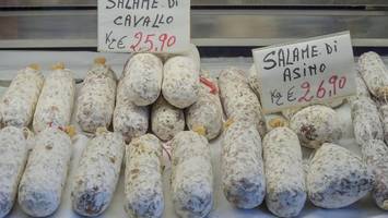 Italien plant Pferdefleischverbot: „Stück Geschichte wird ausgelöscht“