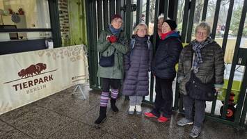 tierpark erzielt besucherrekord mit kostenlosem eintritt für senioren
