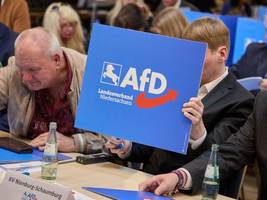 afd niedersachsen: ein „system von machtmissbrauch“ in der afd?