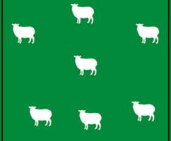 rätsel der woche: drei zäune für sieben schafe