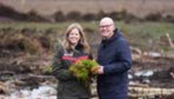 Klima- und Naturschutz: Nach den Baggern kommt das Moor zurück