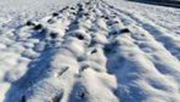 Landwirte sehen kaum Probleme: Hessische Bauern trotzen Winter – Mehr Arbeit für Tierhalter