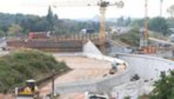 verkehr: bau des riederwaldtunnels - letzte bäume werden gerodet