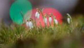 Wetterbericht: Hier wird es als erstes Frühling in Baden-Württemberg