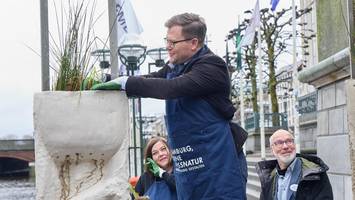 Hamburger Alsterfleete sollen aufgewertet und für alle erlebbar werden