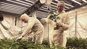 cannabis-club eröffnet ausgabestelle in bahrenfeld – die neunte in hamburg