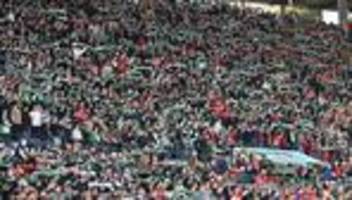 2. Fußball-Bundesliga: Neuer Plan: Alkoholreduziertes Bier bei Fußball-Derby