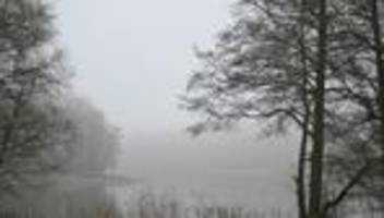 Polizeiausbildung: Im Grunewald kracht es – aber nur aus Ausbildungsgründen