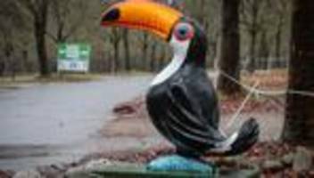 Tierseuche in Niedersachsen: Nach Vogelgrippe-Fällen: Neue Maßnahmen in Zoos