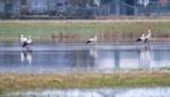 Wetter: Es wird frühlingshaft - Wetterdienst: Regen lässt nach