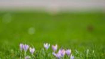 Wetter: Wetterdienst erwartet milde Tage