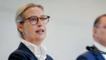 afd: afd-spitze wirft vorwürfe der vetternwirtschaft zurück