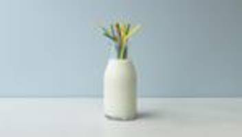 Sozialstaat: Sozialstaatsmythen helfen bei Reformen nicht