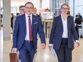 Ratlosigkeit nach Krisentreffen: AfD-Spitze spielt Vetternwirtschaft-Affäre herunter