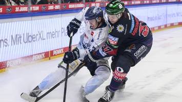 Eisbären: Ab jetzt werden Fehler nicht mehr verziehen