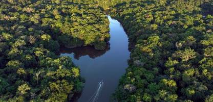 Sieg für Indigene – Privatisierungen am Amazonas gestoppt