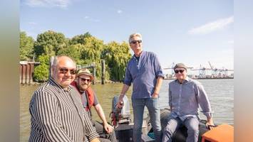 erste bäume im hafen gefällt – gegner der westerweiterung üben scharfe kritik