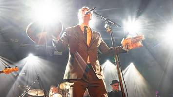 peter doherty in hamburg: welcher wahnsinnige wünscht sich „wonderwall“?