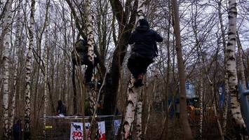 Aktivisten in Bäumen: Widerstand gegen Fällungen im „Wilden Wald“