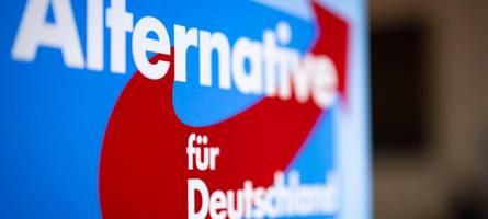 Vetternwirtschaft-Affäre in der AfD: Greift die Parteispitze jetzt durch?