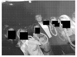 sexualstraftäter: in den epstein-akten fehlen aussagen, die trump belasten könnten