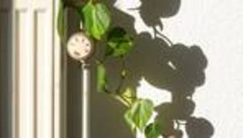 Energie: Heizungsgesetz: Schutz vor steigenden Mietnebenkosten unklar