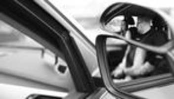 führerschein: deutschland, das land der fahrlehrer