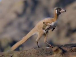 Kaum ein Kilogramm schwer: Mini-Wuscheldino in Patagonien entdeckt