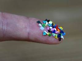 Neue Daten aus den USA: Mikroplastik auffällig häufig in Prostatakrebs-Tumoren gefunden