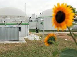 Teuer, knapp und ineffizient: Woher soll das Grüngas kommen?